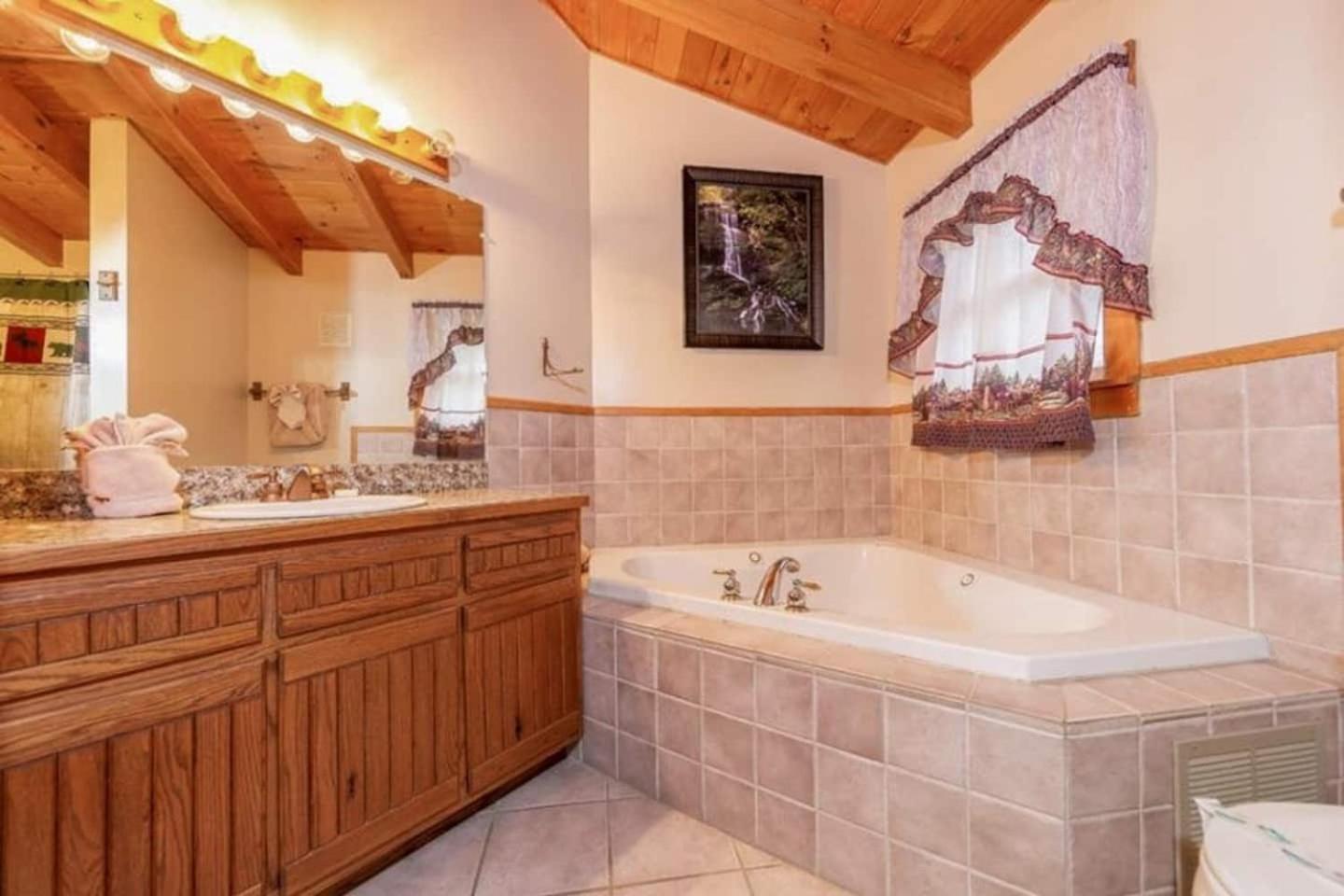 Pigeonforge Cabin Game Roomdog Friendlyhot Tub Pigeon Forge Exteriör bild